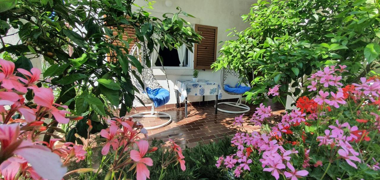Ferienwohnung New!!! New Riva Luxury One - With Sunny Terrace & Big Garden Poreč Exterior foto